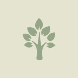 Especies frutales mayores