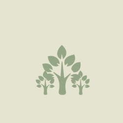 Especies frutales menores